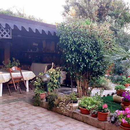 Campanedda B&B Giomar Sardegna Nord Ovest מראה חיצוני תמונה